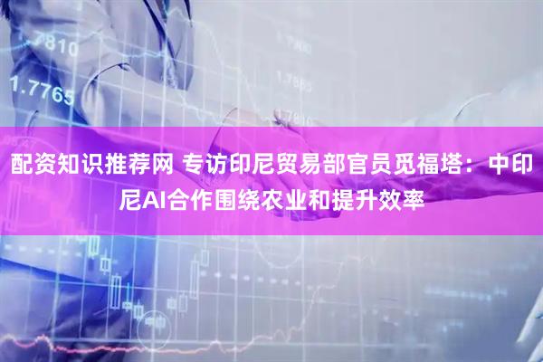 配资知识推荐网 专访印尼贸易部官员觅福塔：中印尼AI合作围绕农业和提升效率