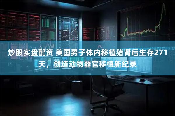 炒股实盘配资 美国男子体内移植猪肾后生存271天，创造动物器官移植新纪录
