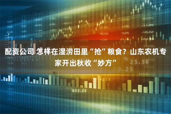 配资公司 怎样在湿涝田里“抢”粮食？山东农机专家开出秋收“妙方”