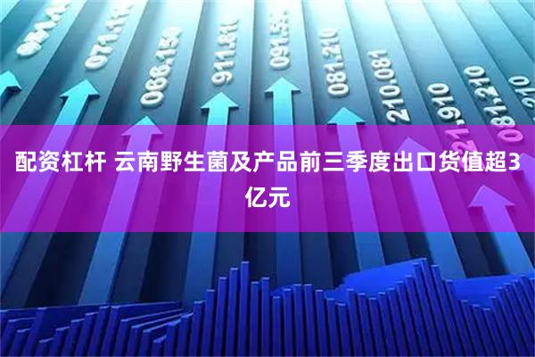 配资杠杆 云南野生菌及产品前三季度出口货值超3亿元