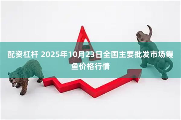 配资杠杆 2025年10月23日全国主要批发市场鳗鱼价格行情